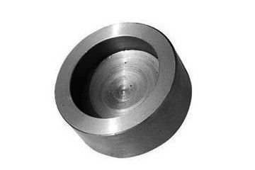 Metal T Pipe Cap 304 Stainless Steel SS Socket Weld Fittings