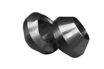 Forged Stainless Steel Pipe Weldolet Fittings